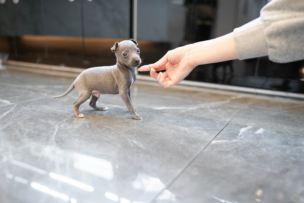 Ȯ�� �̹���