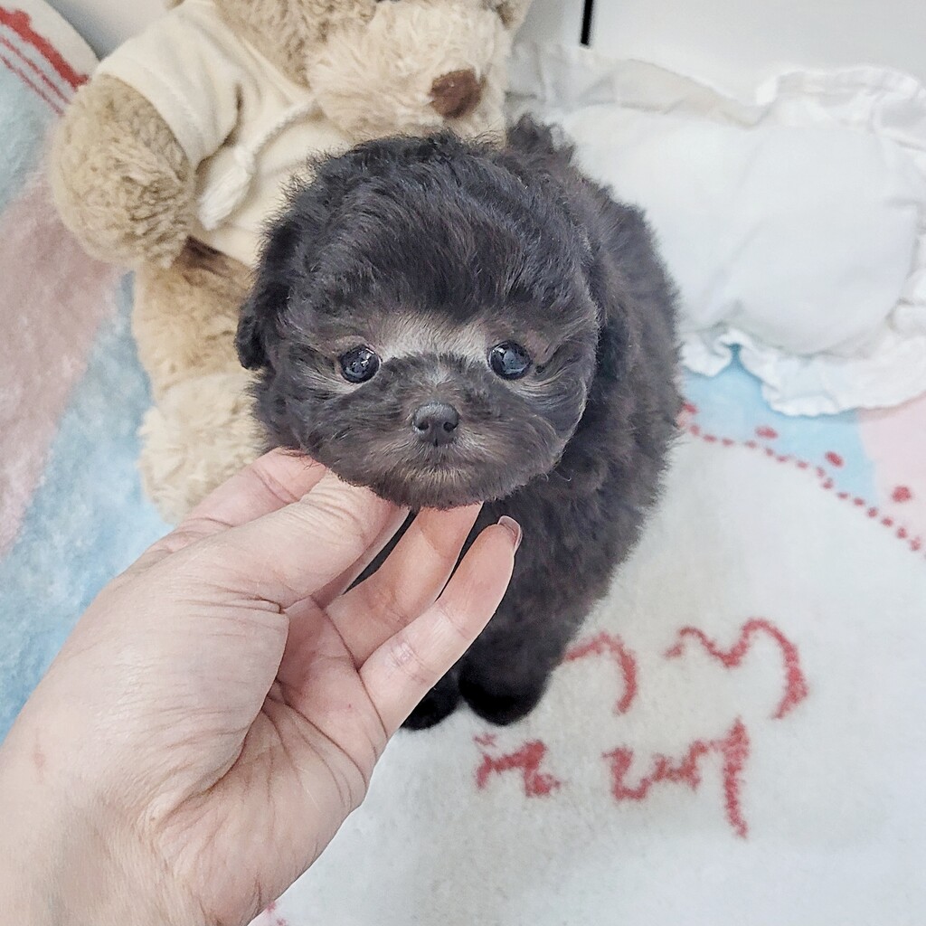 Ȯ�� �̹���