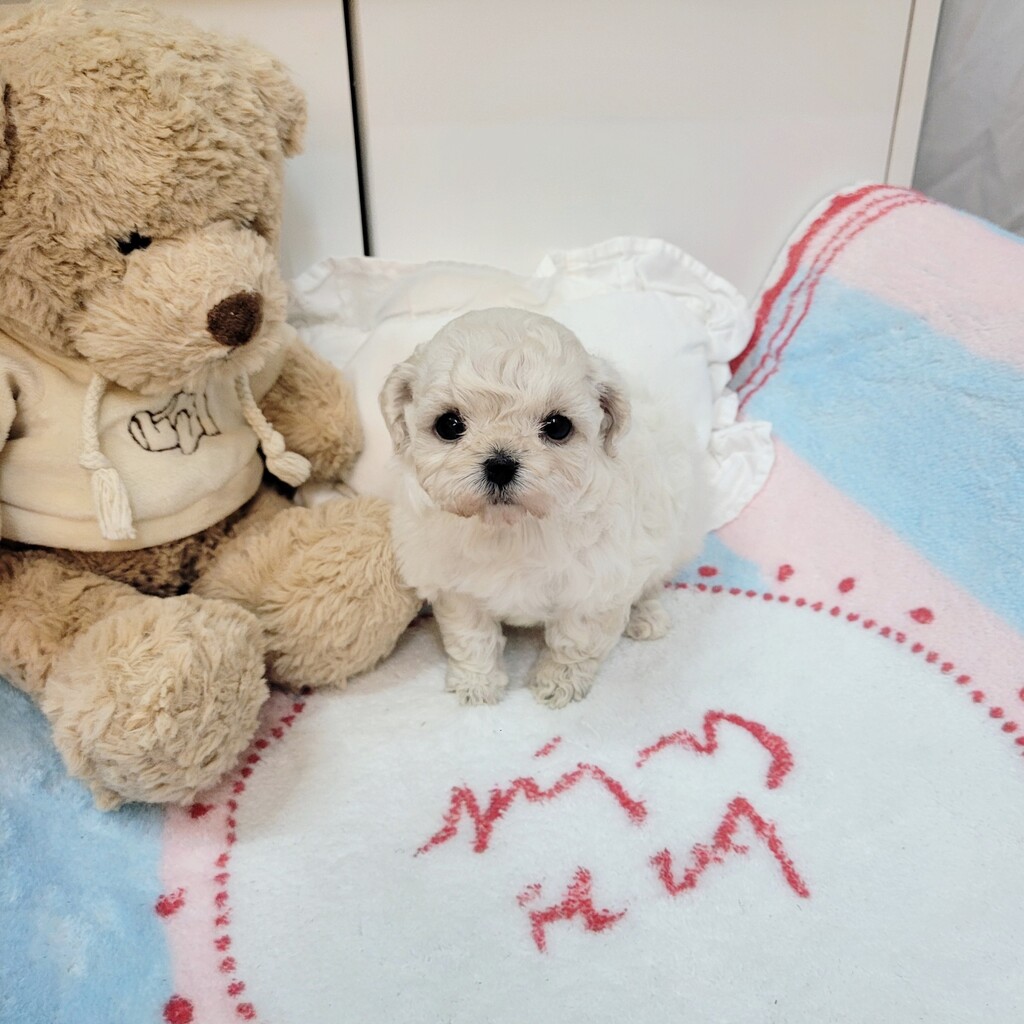 Ȯ�� �̹���