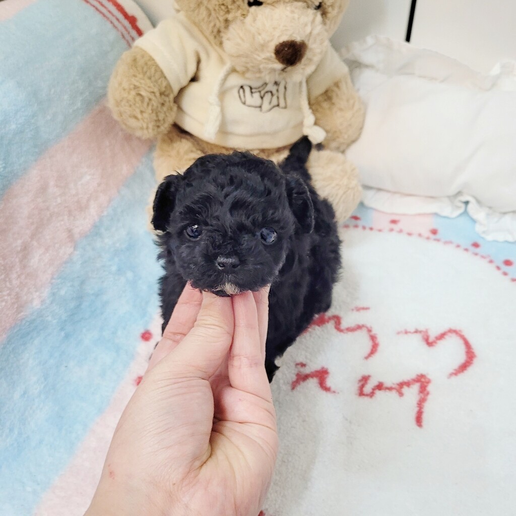 Ȯ�� �̹���