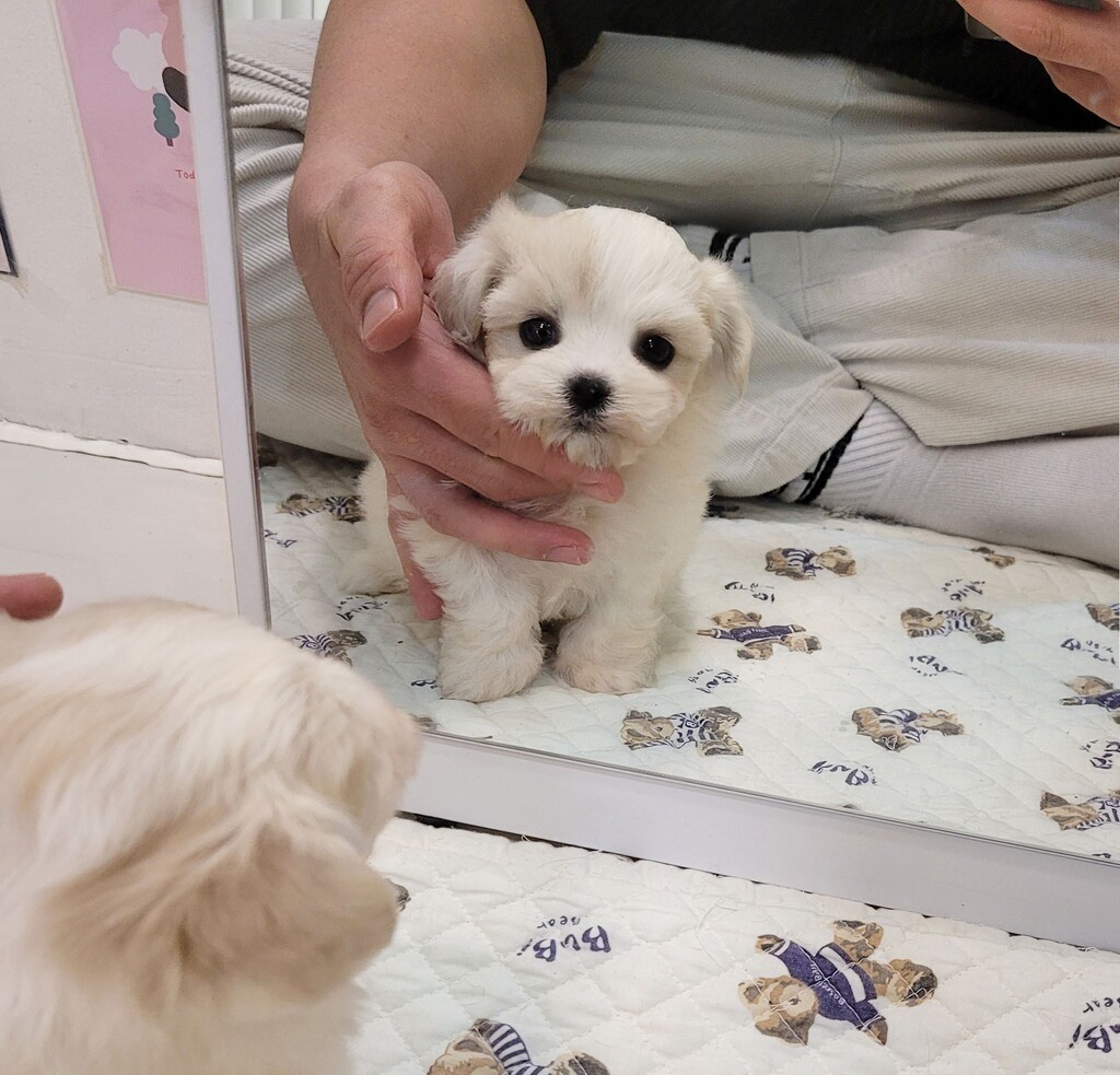 Ȯ�� �̹���