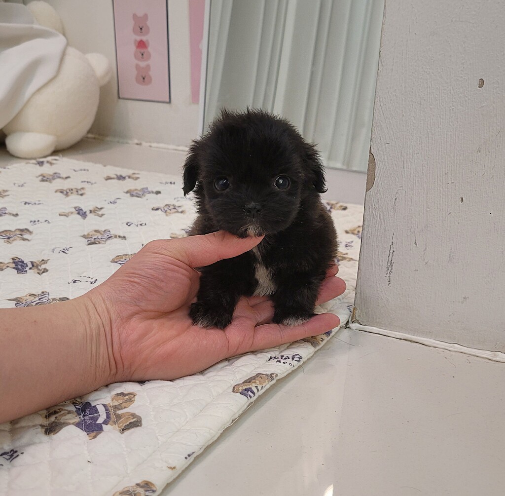 Ȯ�� �̹���