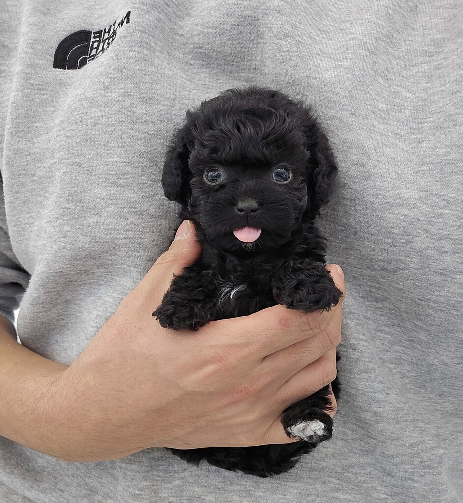 Ȯ�� �̹���