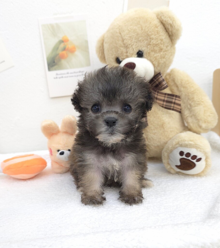 Ȯ�� �̹���