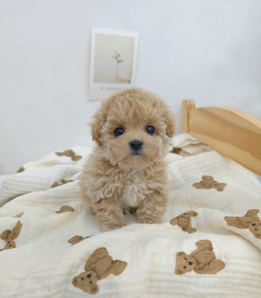 Ȯ�� �̹���