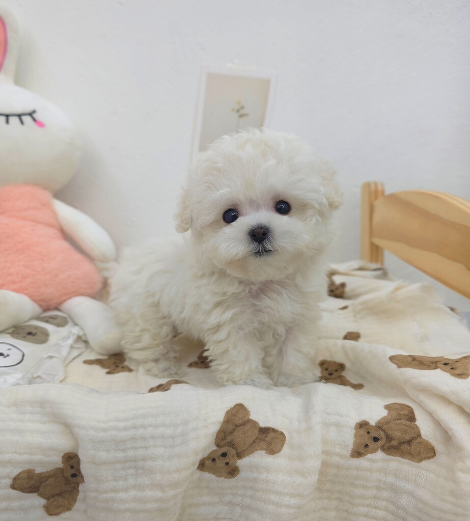 Ȯ�� �̹���