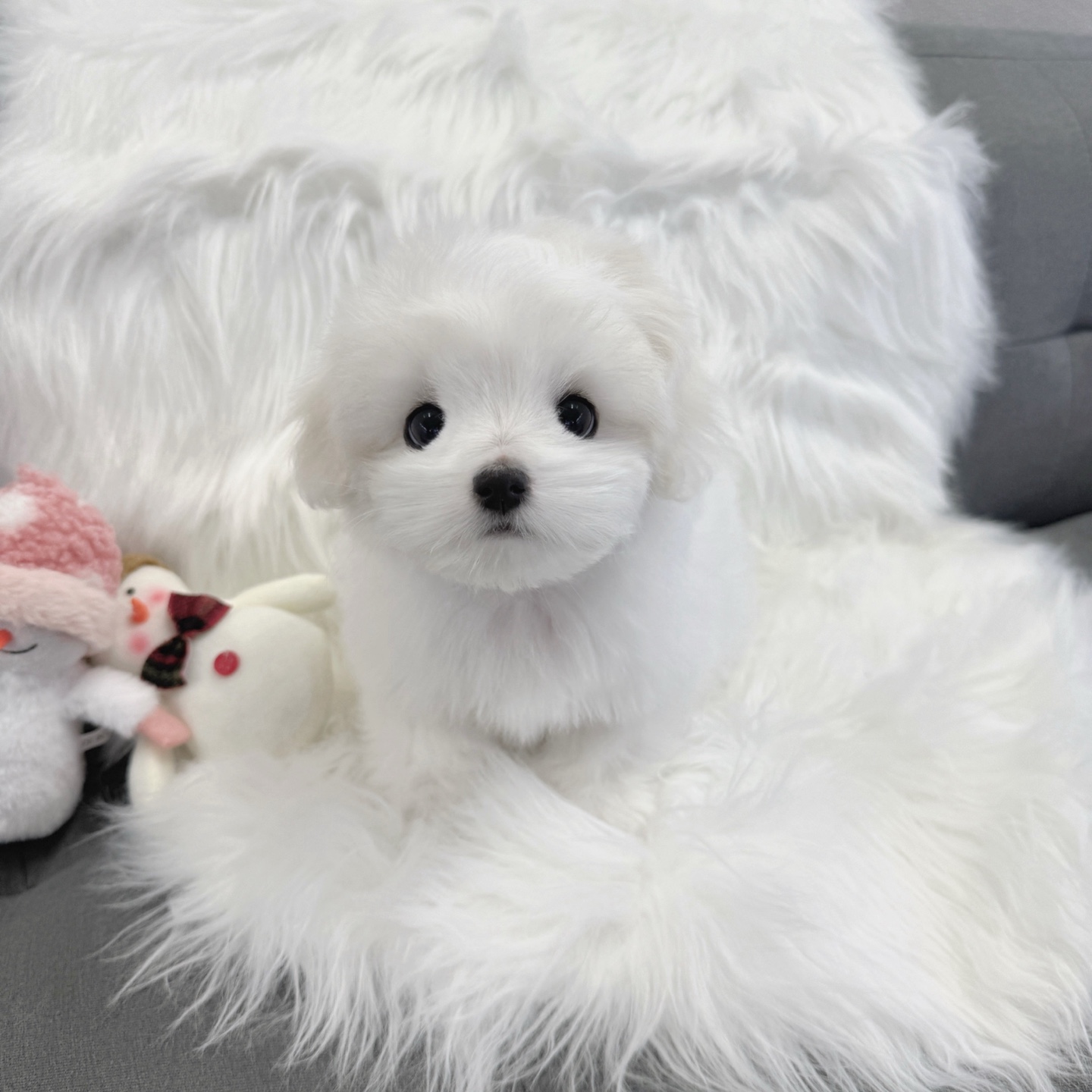 Ȯ�� �̹���