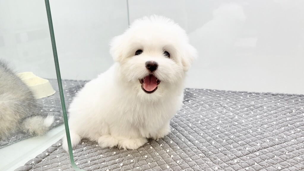 Ȯ�� �̹���