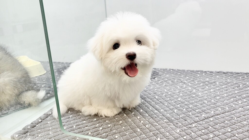 Ȯ�� �̹���