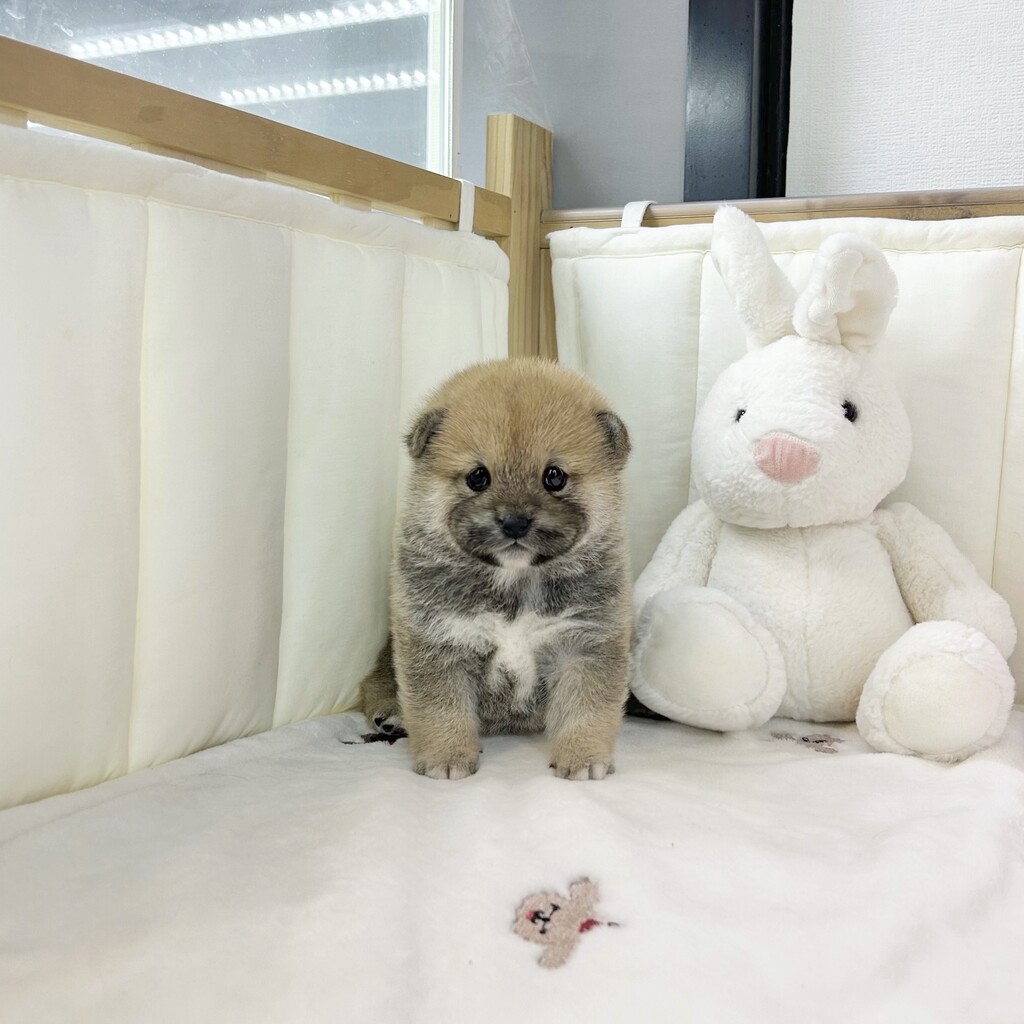 Ȯ�� �̹���