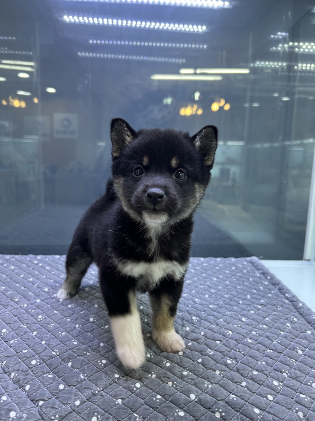 Ȯ�� �̹���