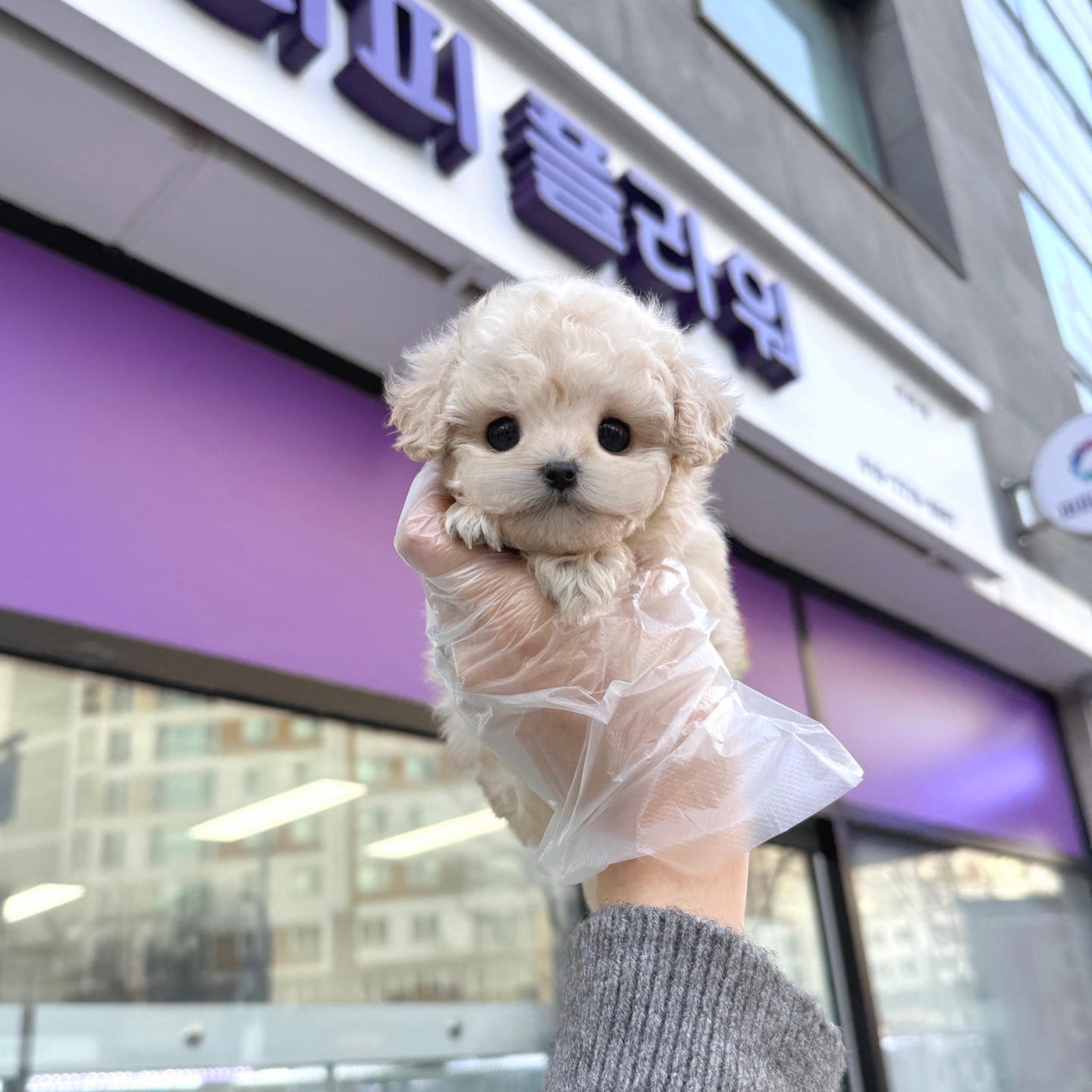 Ȯ�� �̹���