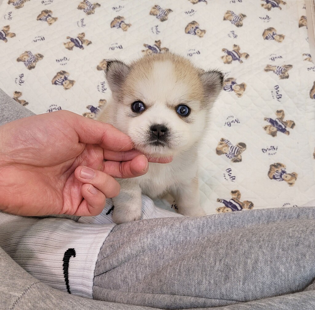 Ȯ�� �̹���