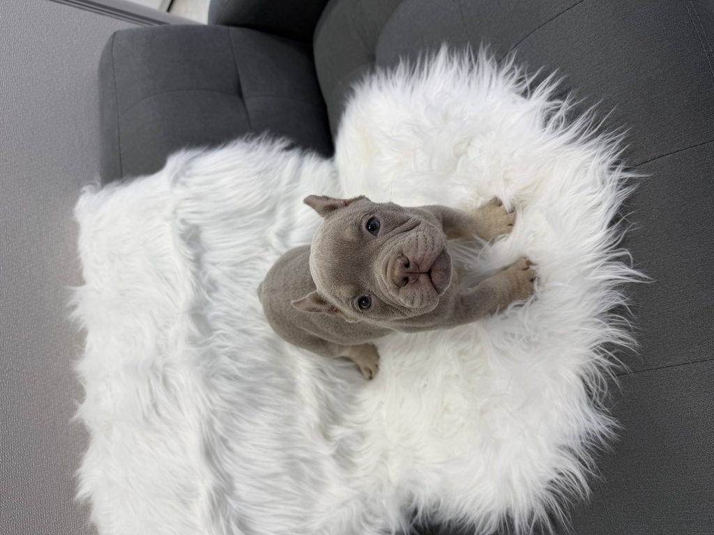 Ȯ�� �̹���