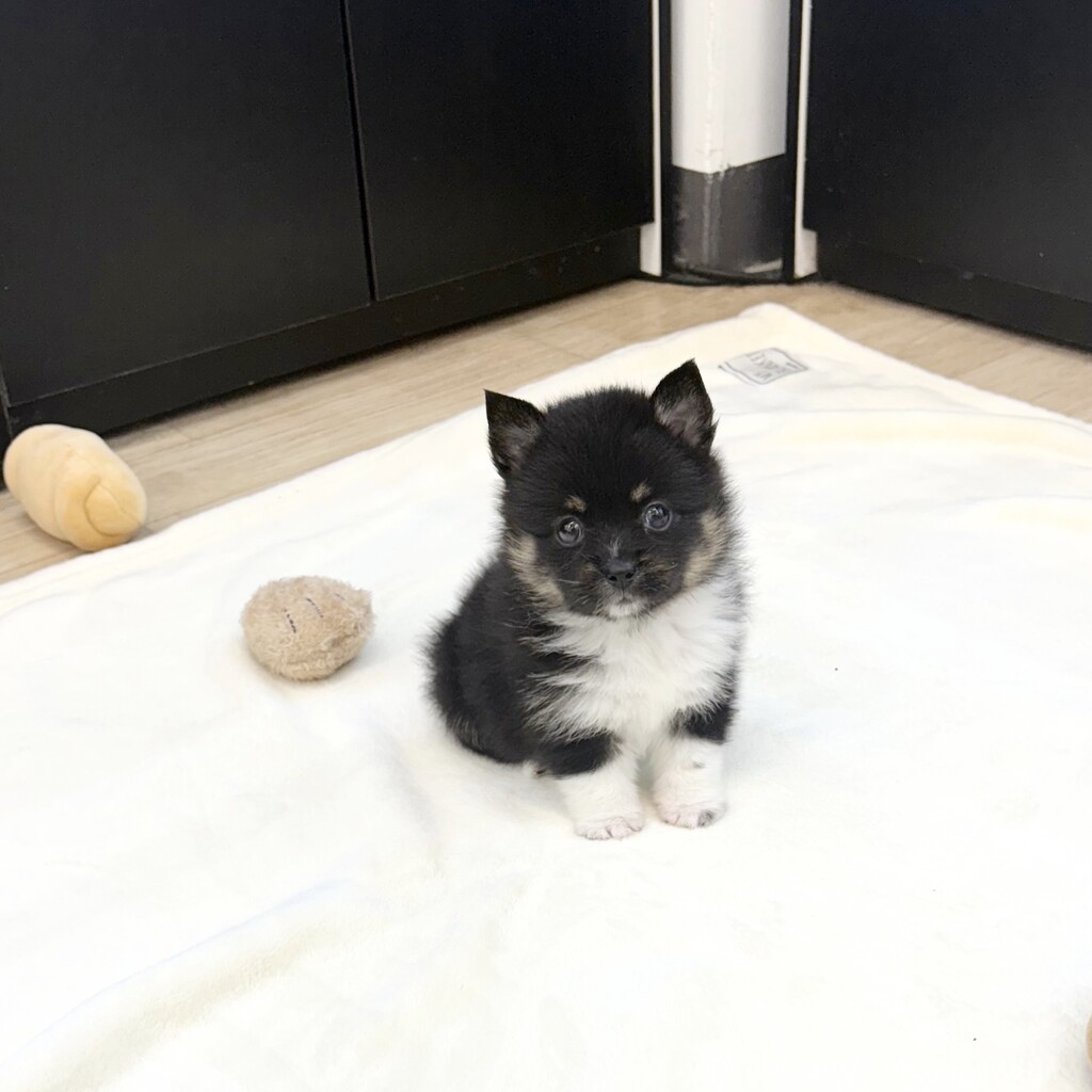 Ȯ�� �̹���