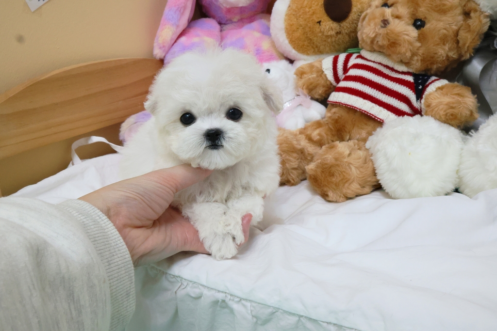 Ȯ�� �̹���