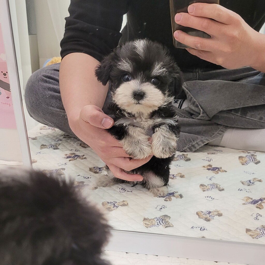 Ȯ�� �̹���