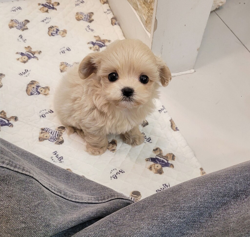 Ȯ�� �̹���