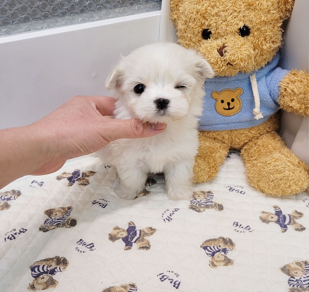 Ȯ�� �̹���