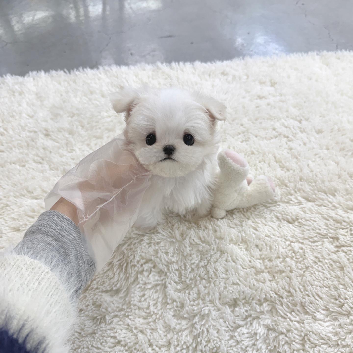 Ȯ�� �̹���