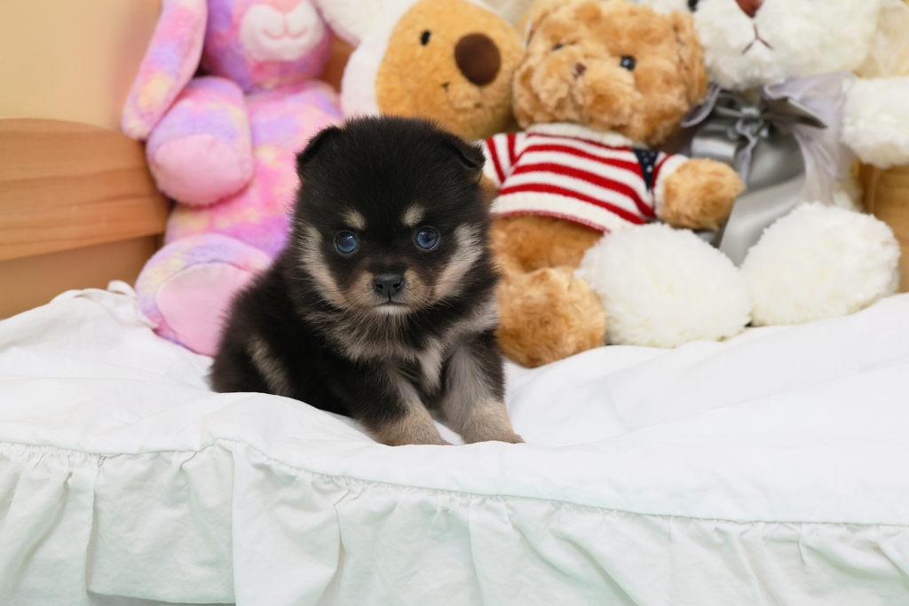 Ȯ�� �̹���