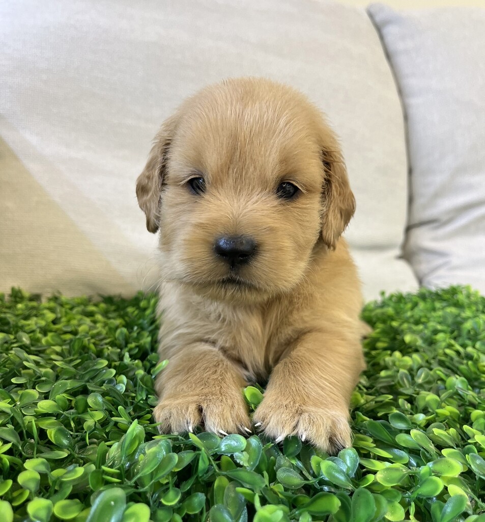 Ȯ�� �̹���