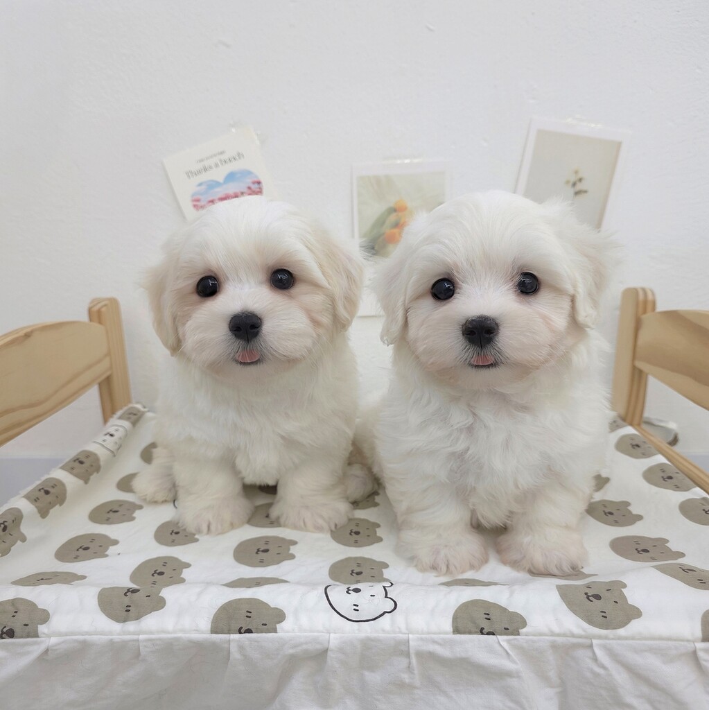 Ȯ�� �̹���