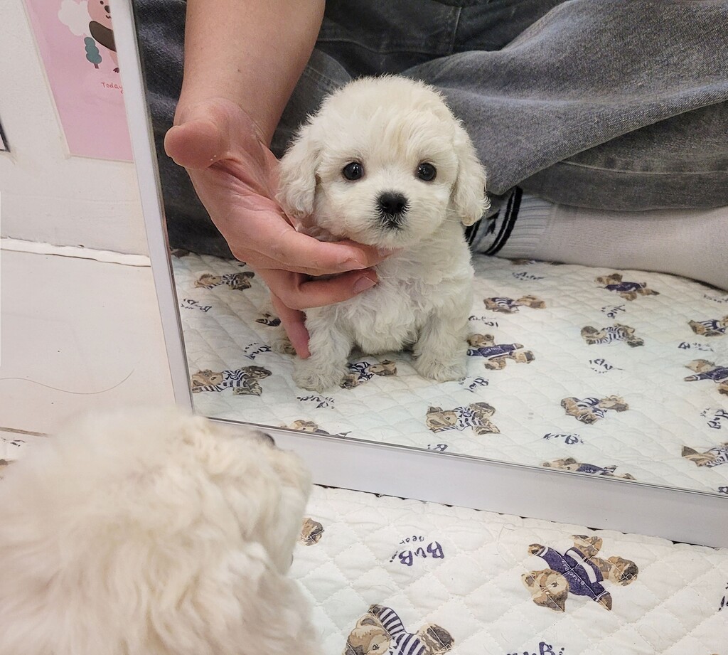 Ȯ�� �̹���