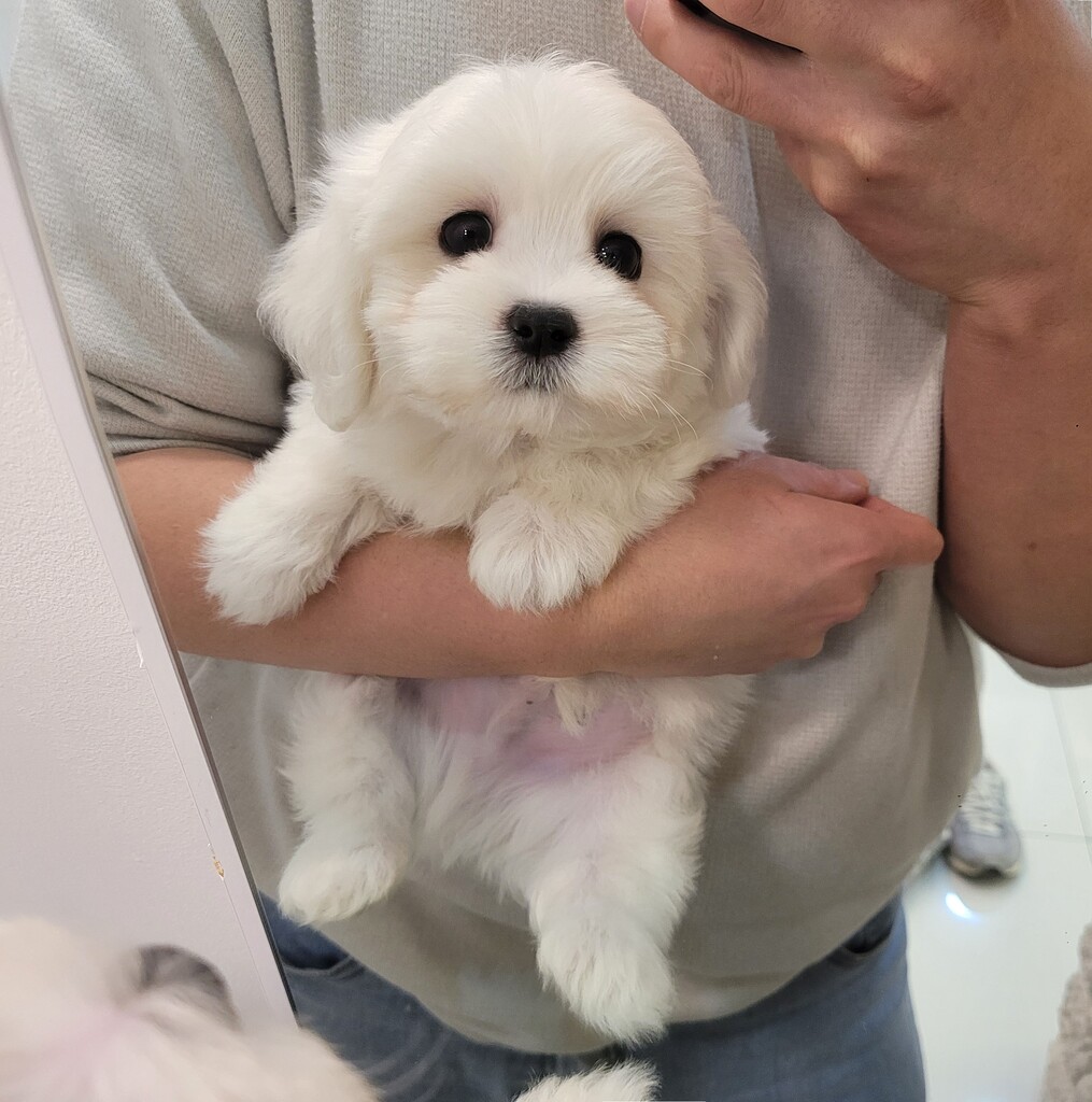 Ȯ�� �̹���