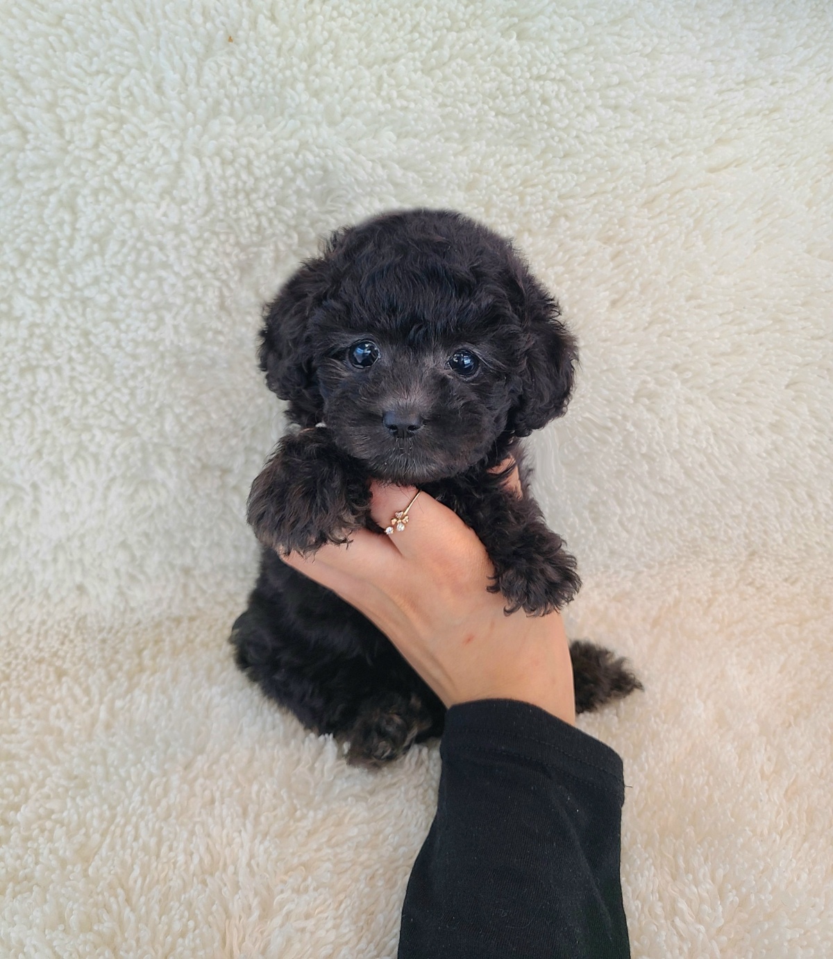 Ȯ�� �̹���