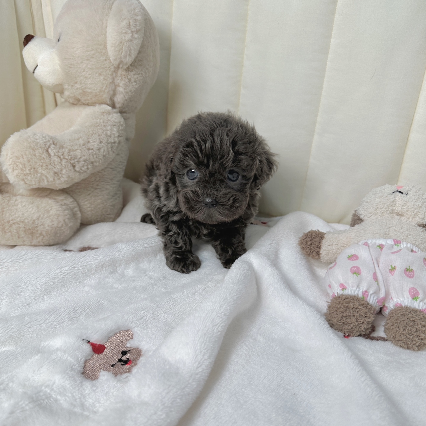 Ȯ�� �̹���