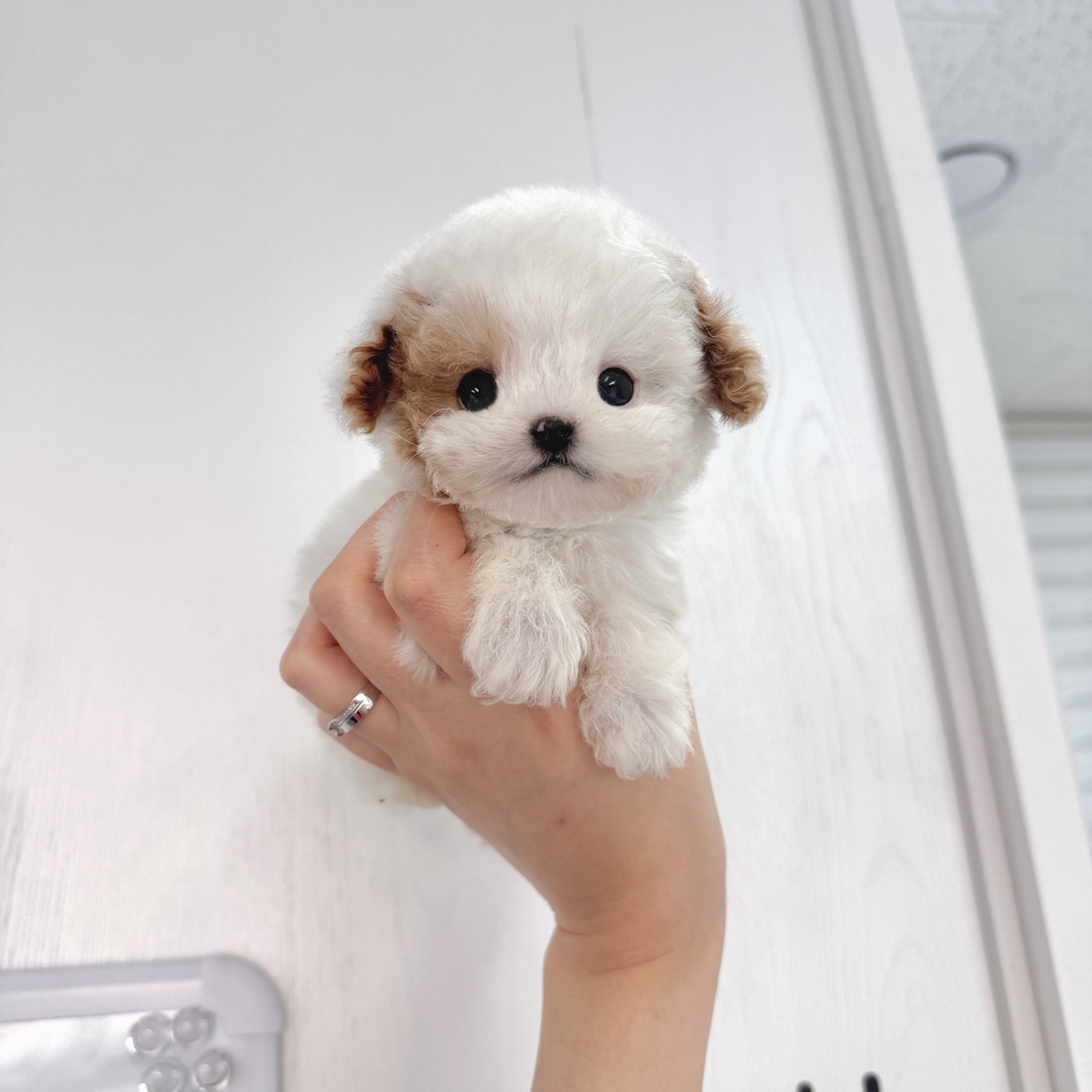 Ȯ�� �̹���