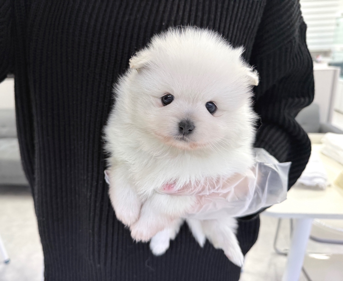 Ȯ�� �̹���