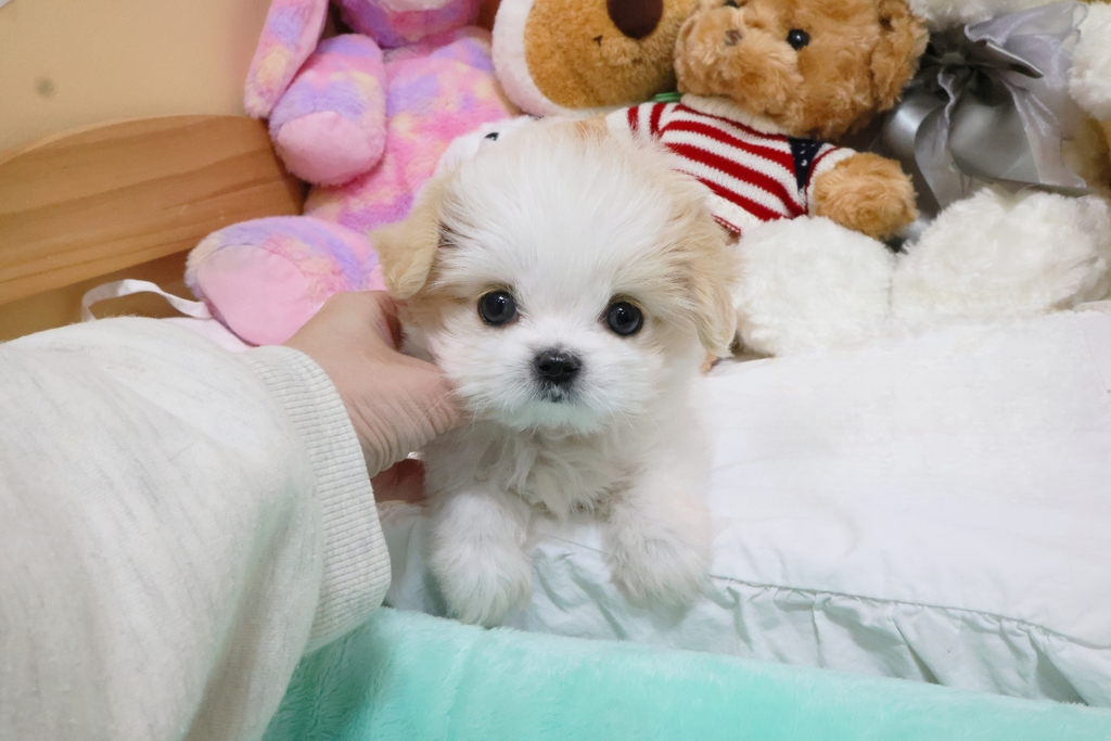 Ȯ�� �̹���