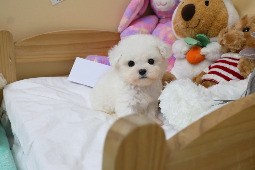 Ȯ�� �̹���