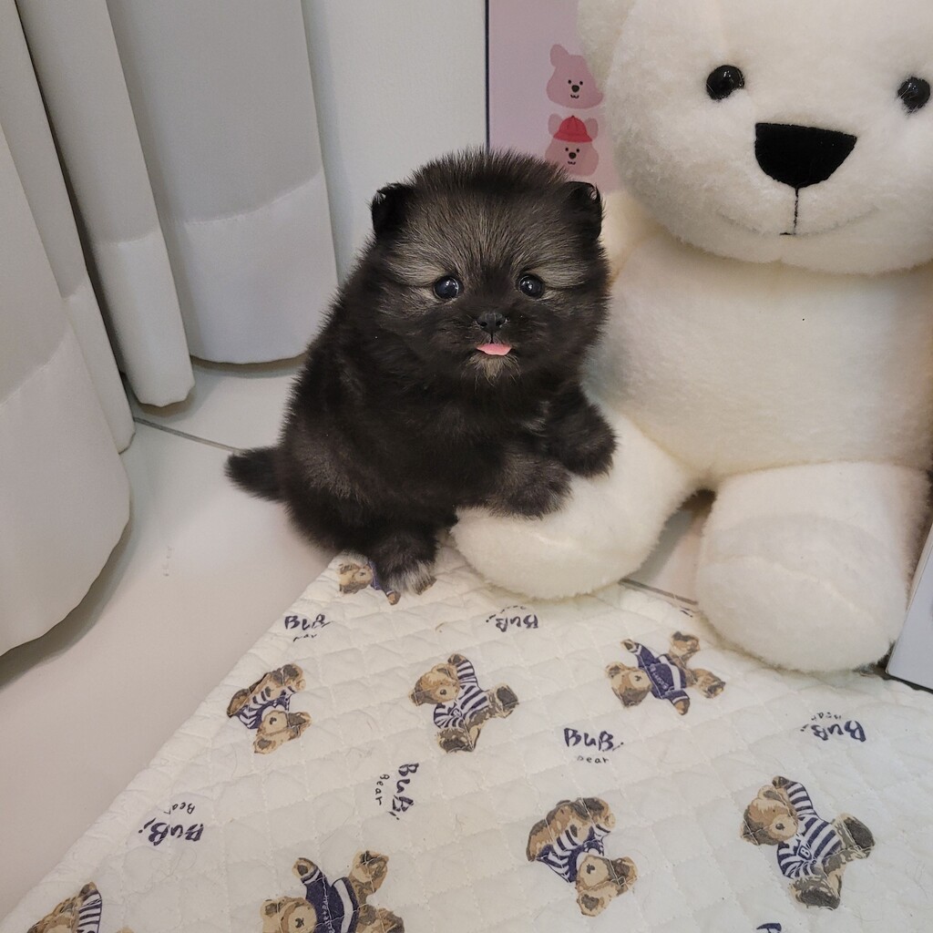 Ȯ�� �̹���