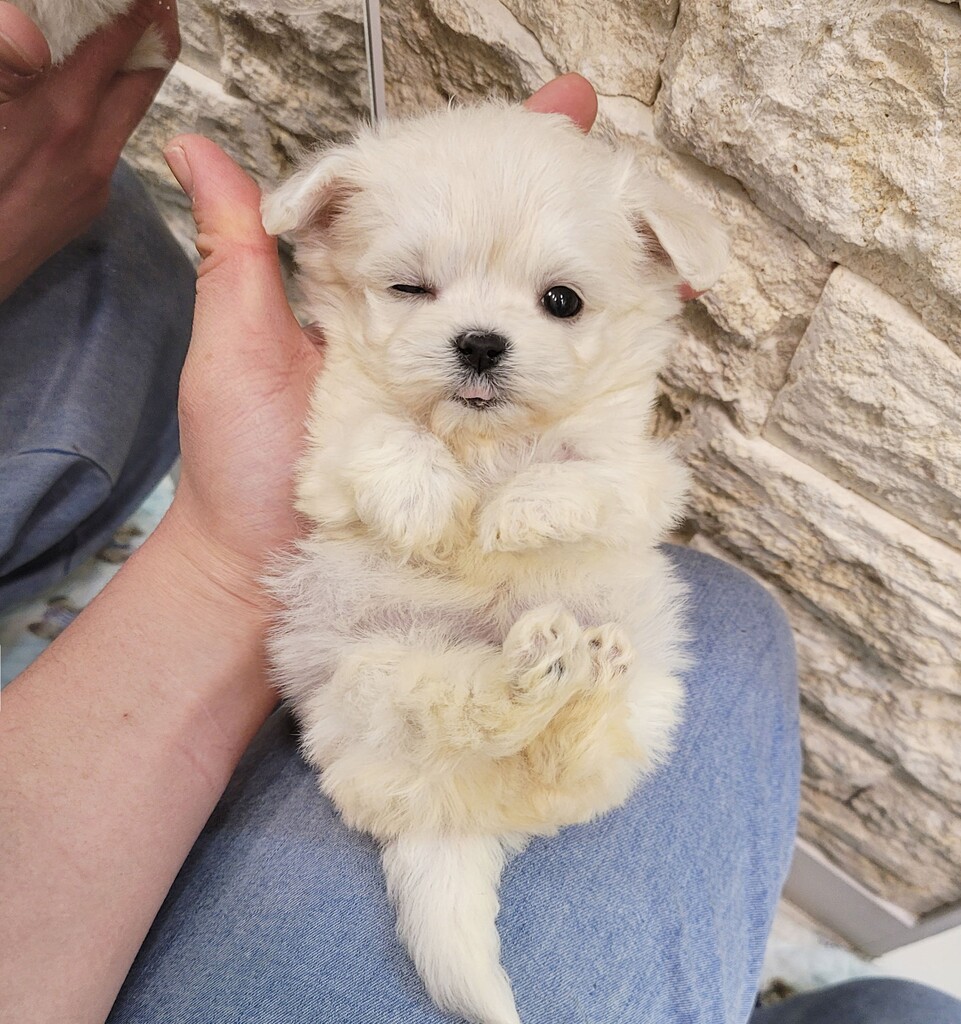 Ȯ�� �̹���