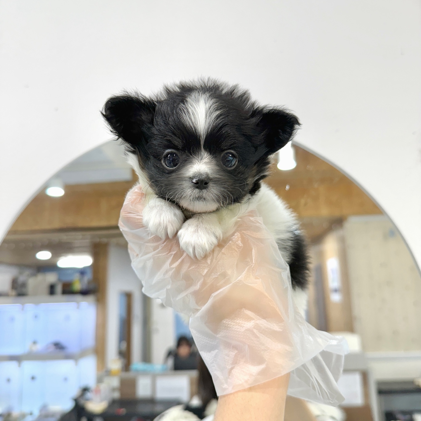 Ȯ�� �̹���