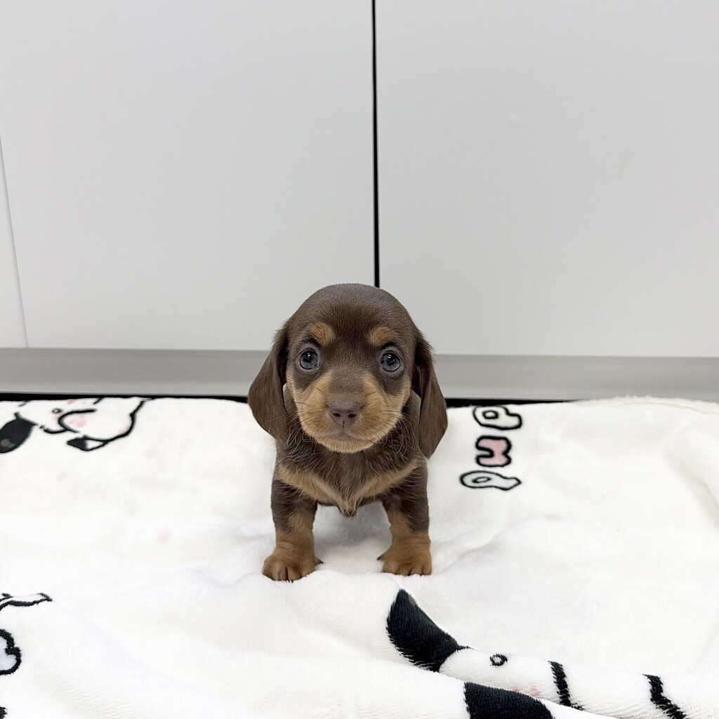 Ȯ�� �̹���