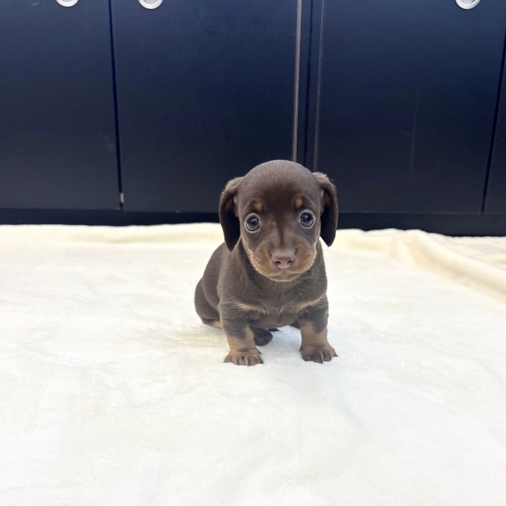 Ȯ�� �̹���