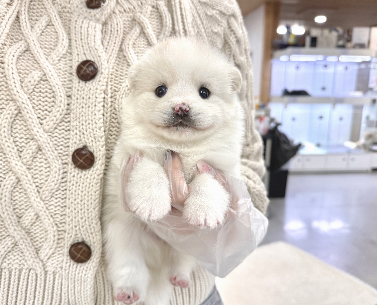 Ȯ�� �̹���