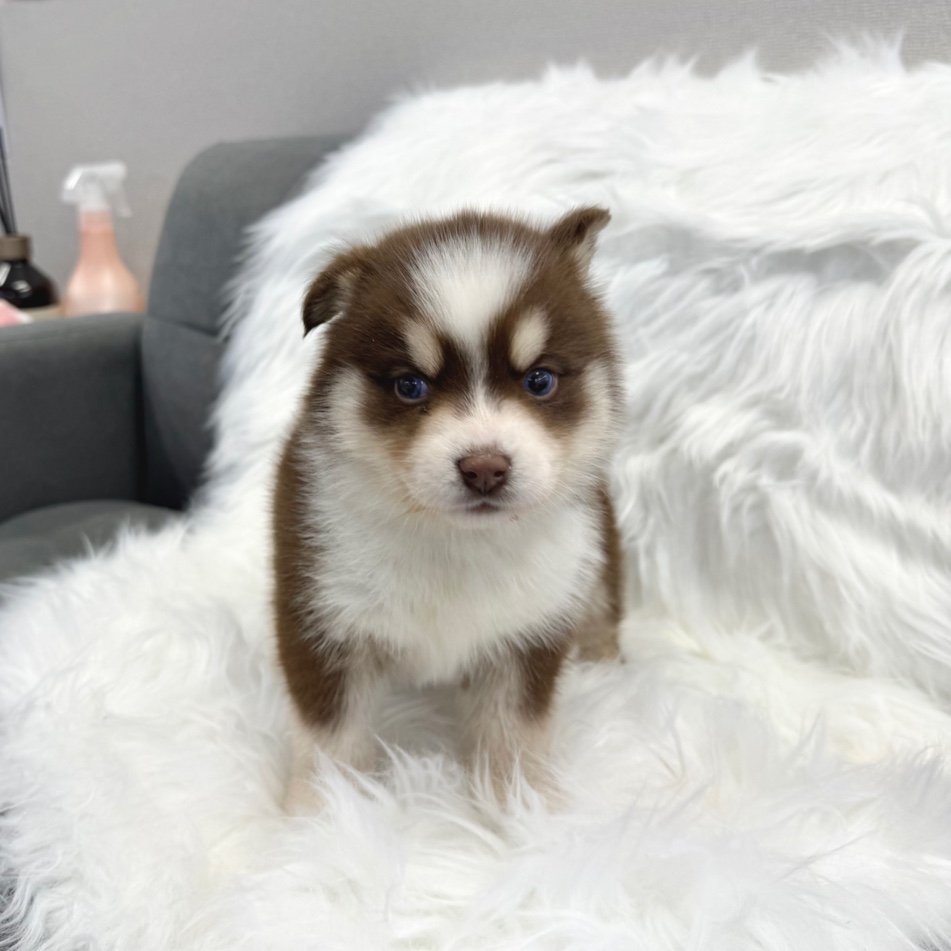 Ȯ�� �̹���