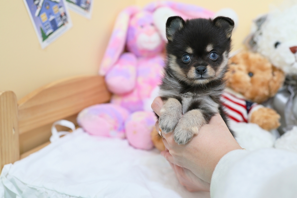 Ȯ�� �̹���