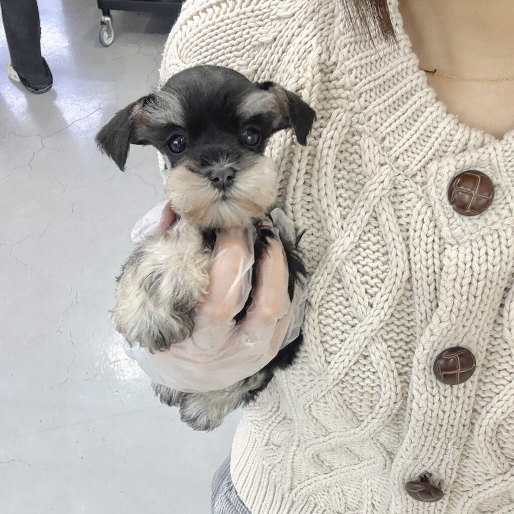 Ȯ�� �̹���