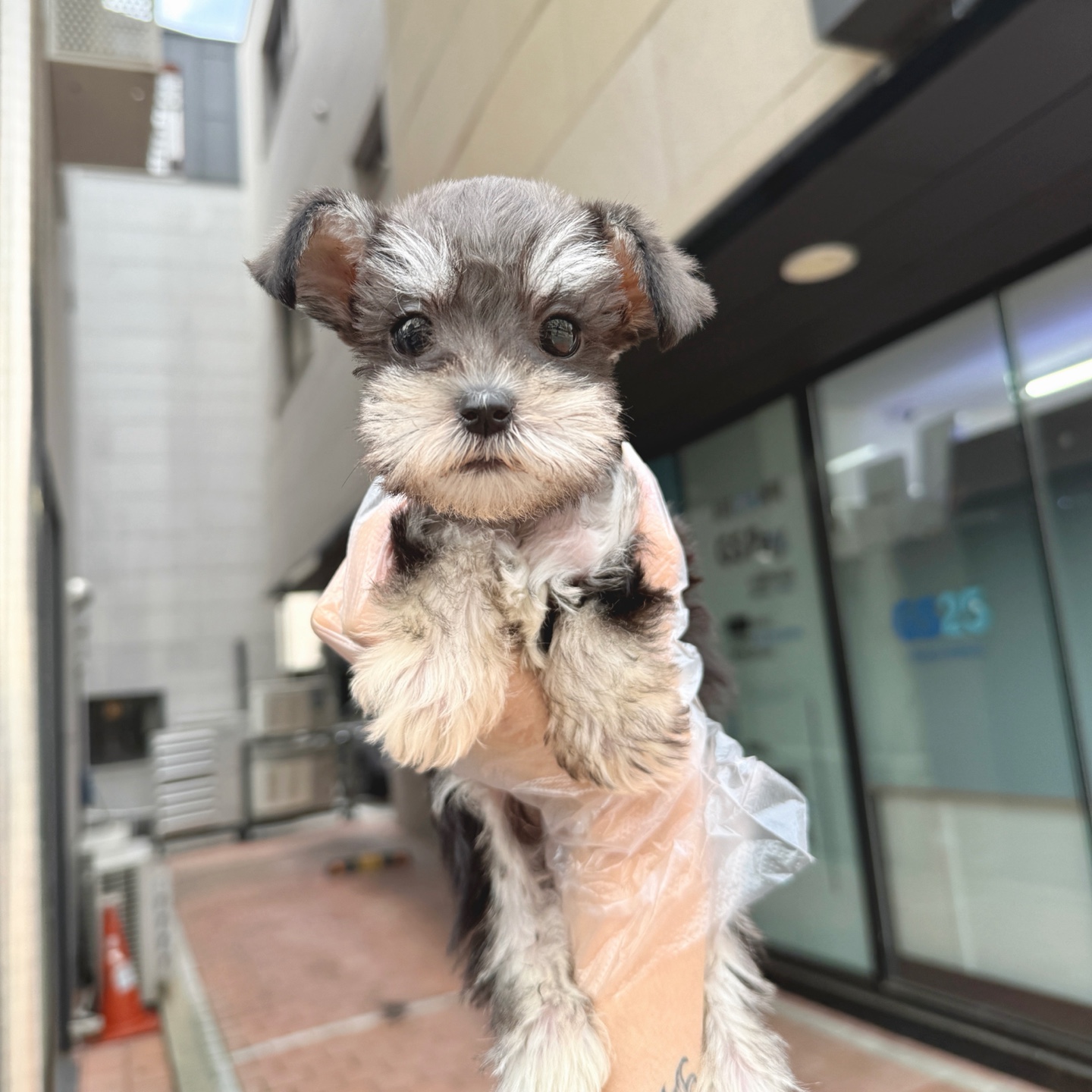 Ȯ�� �̹���