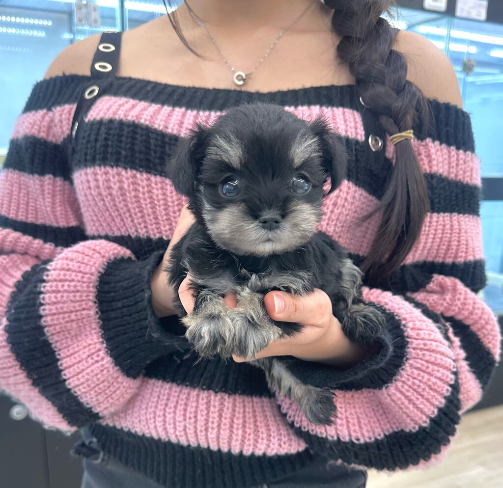 Ȯ�� �̹���