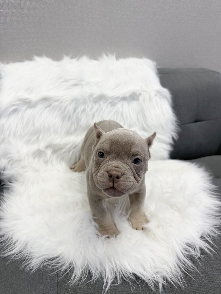 Ȯ�� �̹���