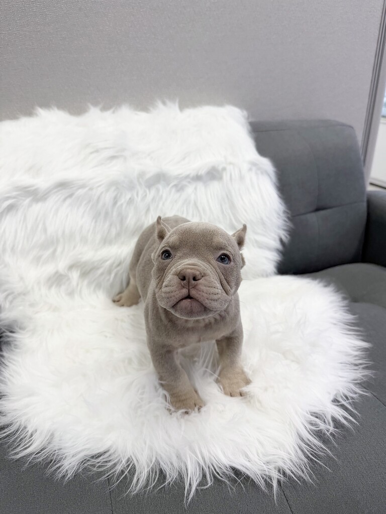 Ȯ�� �̹���