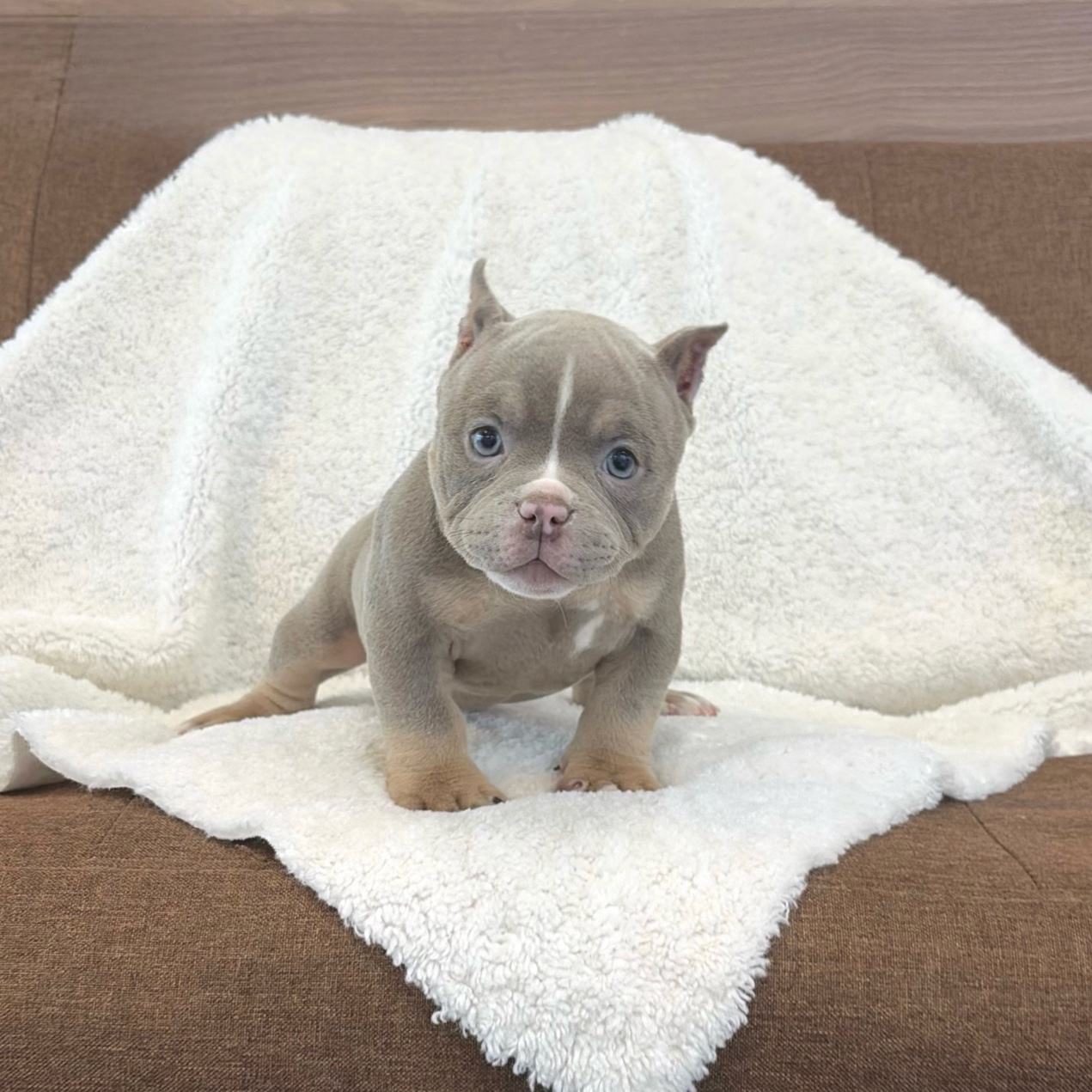 Ȯ�� �̹���