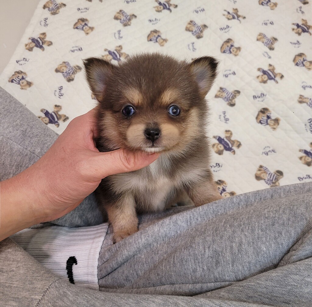 Ȯ�� �̹���